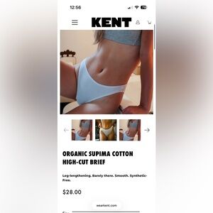 NWOT Kent organic cotton compostable briefs size M
